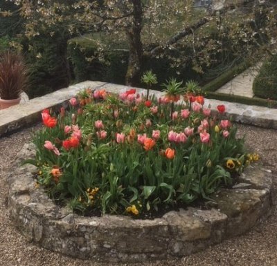 ouni Tulpen geet ët dach net bei den Hollänner